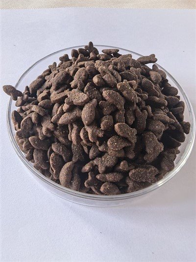 লাইফস্টেজ কুকুর খাদ্য