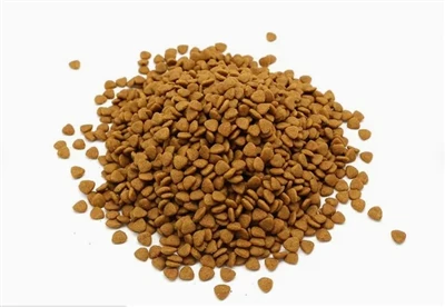 গর্ভবতী বিড়ালের খাবার