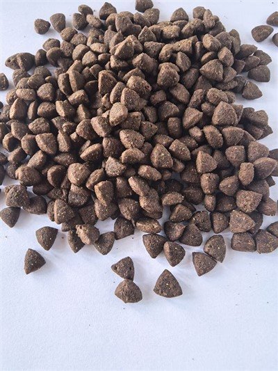 সম্পূর্ণ খাদ্য বিড়াল খাদ্য